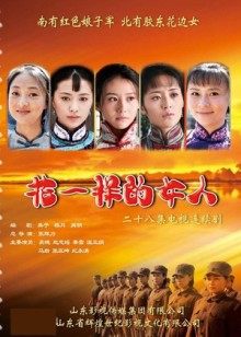 韩国主播promise视频合集[12V 975MB]